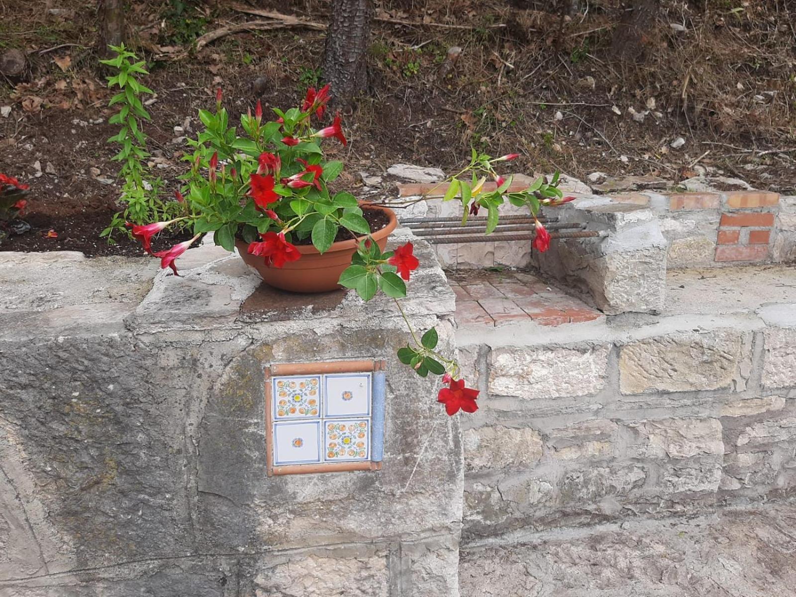 Apartamento Il Caminetto Carpinone Exterior foto